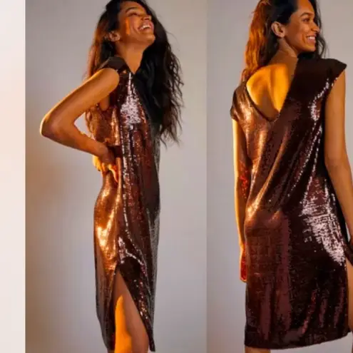 Anthropologie  Kara Sequined Dress brown wine size‎ XS