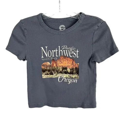 Social Culture Cropped T Shirt Micro Tee
Gray Size Small Gray