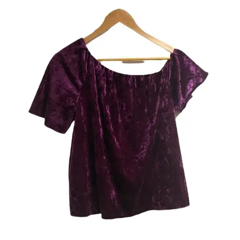 Cooper and Ella  shirt‎ purple velvet NWT XS