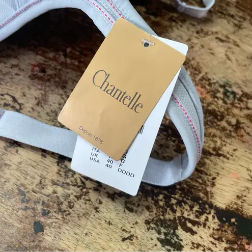 Chantelle NWT sport high impact full cover contour light gray size 40 DDDD (40G)