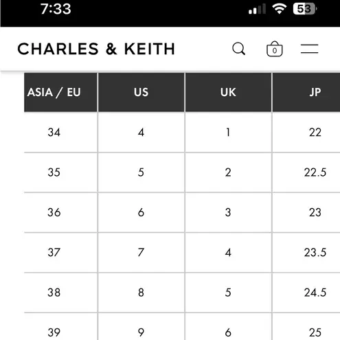 Charles and Keith Chunky Penny Loafer Pumps - Ivory/Off White