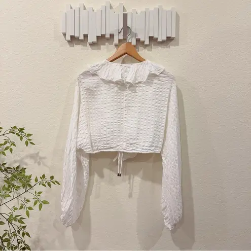 C/MEO COLLECTIVE Distinct Long Sleeve Ruffle Crop Blouse Top Size Small Preowned
