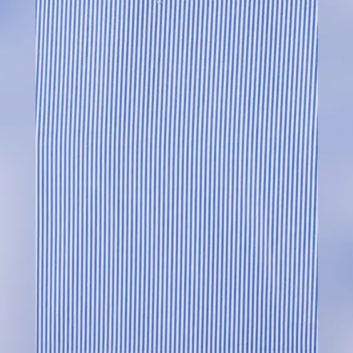 Trovata Small Carla Highneck Shirt in Blue White Stripe Flutter Sleeve Preppy