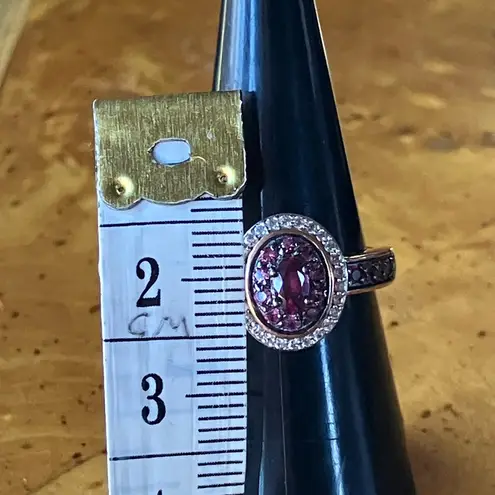 Natural Wine Garnet Sterling Silver Double Halo Ring Size 7