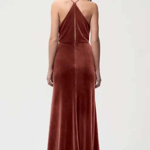 Jenny Bird Jenny Yoo Collection Sullivan Rose Velvet Maxi Dress 14 (see description)