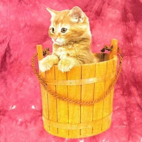 The Mountain Vintage Pink Tie Dye Cat Wooden Basket Tee T-Shirt AOP Large Kitten