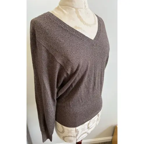 Leo & Sage Sparkly Pullover Long Sleeve V
