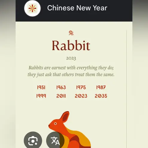 Chinese zodiac rabbit crossbody purse Purple