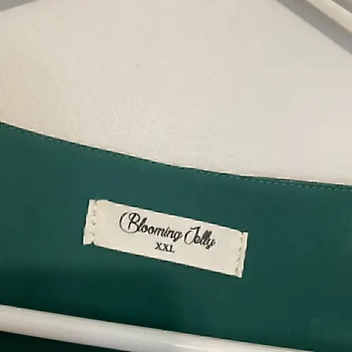 Blooming Jelly Lantern Long Sleeve Round Neck Top Dark Green Swiss Dot Boho Fall