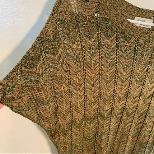 Allison Brittney  Short Dolman Sleeve Sweater Green