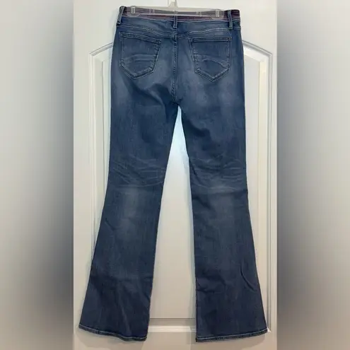 Driftwood Women’s Isabel flare leg embroidered jeans Classic fit