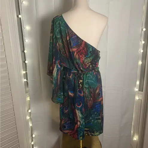 Bisou Bisou One Shoulder Dress - Multicolor