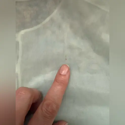 Vintage Sears mint green nightgown over coat sheer two