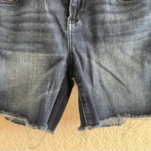 Pilcro and the Letterpress Anthropologie Women’s Denim Soft Stet Shorts Size 29