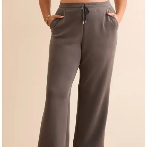 NEW Arula Super Soft Lounge Pants Plus Size 0X (XL) NWT Gray