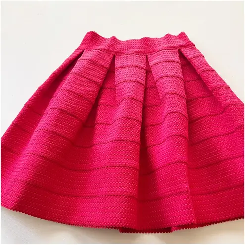 EXPRESS Textured Pleated Short Skirt