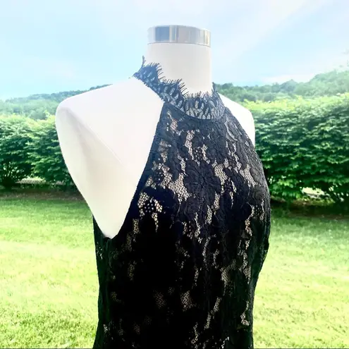 Sans Souci High Neck Black & Tan Lace Midi Dress