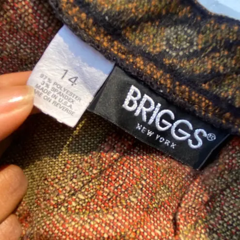 Briggs New York Vtg paisley printed midi skirt 14