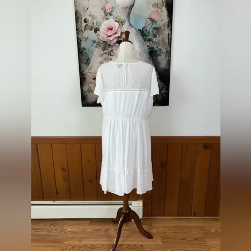 Torrid Super Cute  Cotton Skater Dress!