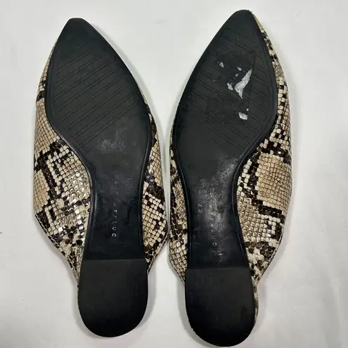 Zara Pointed Toe Snake Print Mules Slip