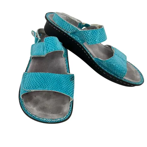Alegria Verona Aqualita Turquoise Blue Sandals Size 40 9.5
