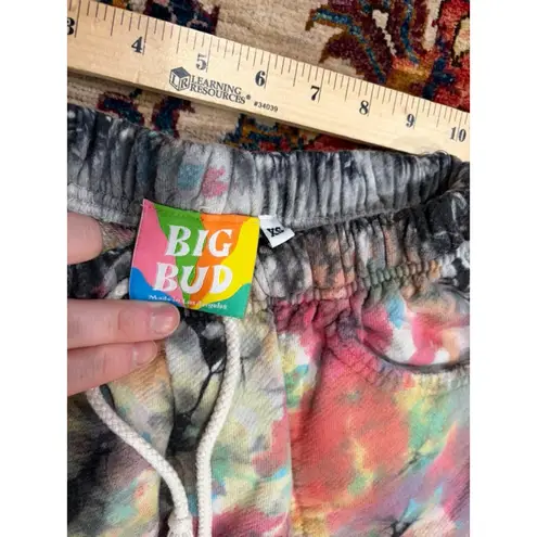 Big Bud Press Rainbow Magic Waters Tie Dye Shorts XS 100% Cotton Made in USA Pink