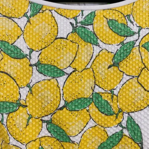 C Wonder Women's Lemon Print Textured Sleeveless Sheath Dress Size 12