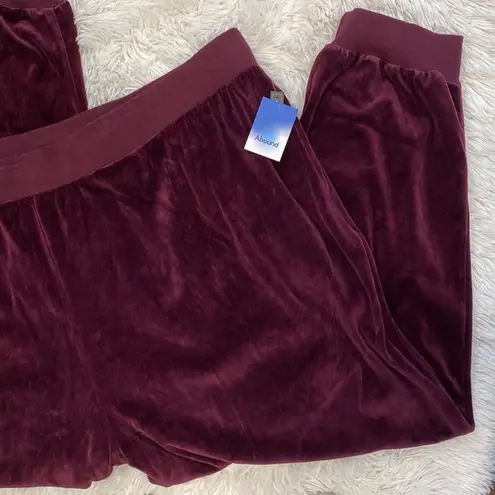 Abound NWT Velour Joggers