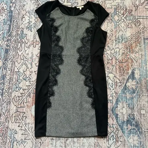 Mystree Elegant Black and Gray Lace Panel Knit Dress Cap Sleeve Large