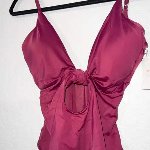 ANDIE NWT Plum Purple Santorini One Piece Swimsuit Size XL