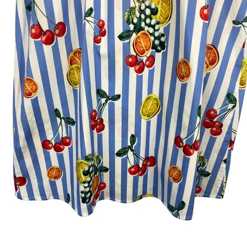 Show Me Your Mumu  Fruit Basket Plaza Blue Striped Pull On Midi Skirt SZ XS