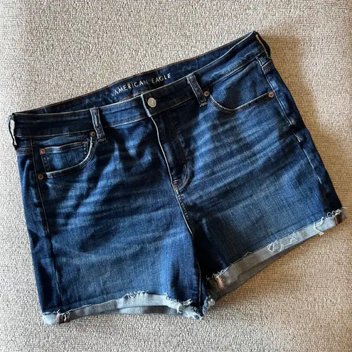 American Eagle Outfitters Jean Shorts