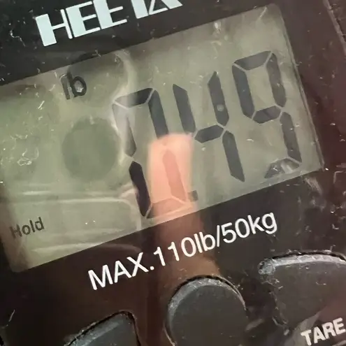 Tracy Negoshian Skirt Womens 4 Blue Teal Elephant Print Stretch Resort Coastal