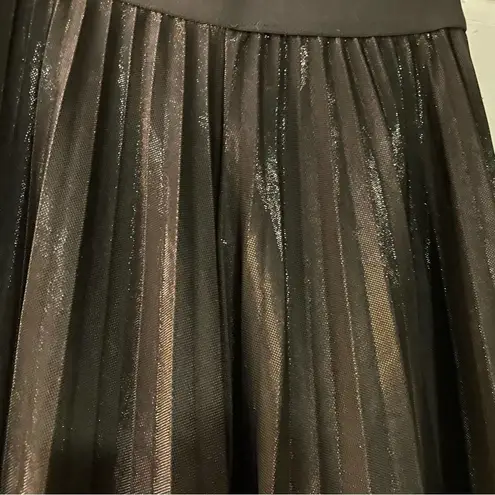 Black Iridescent Pleated Skirt