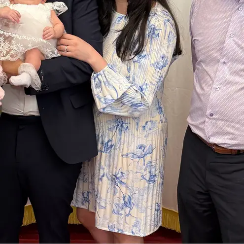 Maje Long Sleeve Dress in Blue and Cream Size 40 (US 12)