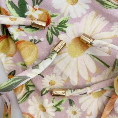 Farm Rio Tangerine Dream Bikini Set Pink Fruit Floral Side Tie Triangle Size S