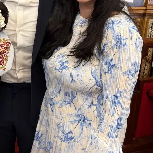 Maje Long Sleeve Dress in Blue and Cream Size 40 (US 12)