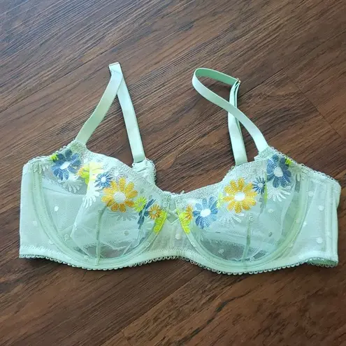 Savage X Fenty Chic Feminine Fairy Embroidered Floral Mesh Pastel Green bra set