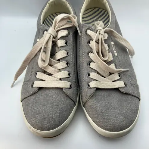 TAOS Star Canvas Sneakers Women's Size 8W Gray Lace Up Casual Shoes