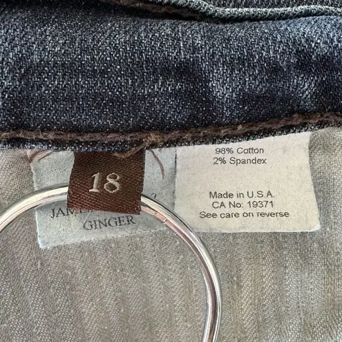 James Jeans SZ 18 Skinny Distressed Mid-Rise Zip-Fly Stretch Ginger Wash Womens