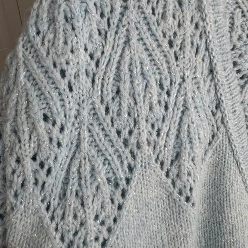 Carriage Court light blue button up cardigan size large