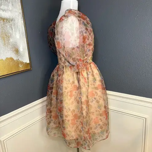 Endless Rose Puff Sleeve Mini Dress