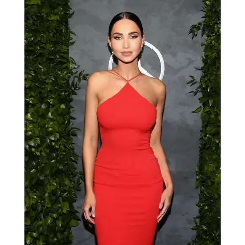 Nookie Trinity Gown in Cherry Medium New Womens Long Maxi Dress