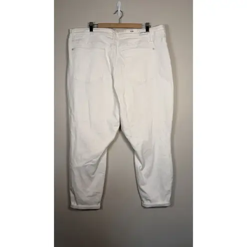 Judy Blue Jeans White Size 24 W High Rise Boyfriend Cuffed NWT Stretch Classic