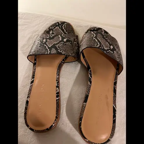 Halston Snake Print Slide Sandals
