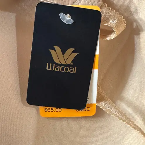 Wacoal SZ 38DD French Garden Contour Bra Lace Accent Adjustable Straps Underwire