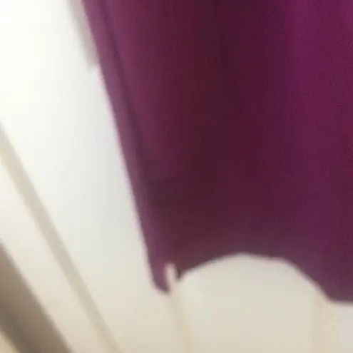 FINAL MARKDOWN Danskin Now Athletic Slacks (L) Size L