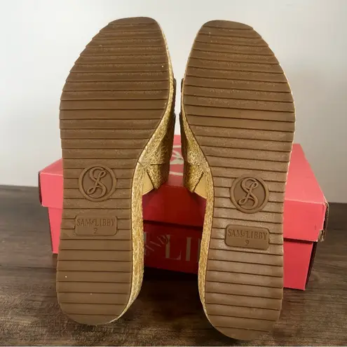 Sam & Libby Crysta Platform Wedge Women's Sandal Size 9 #250992