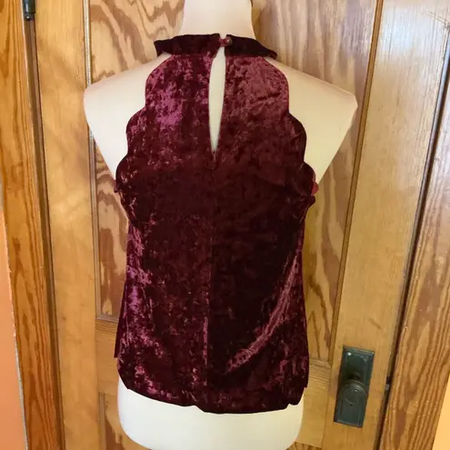 Altar'd State maroon velour top