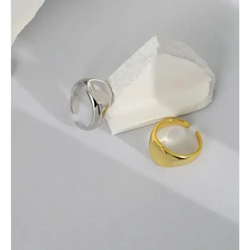 Boutique Chunky Solid Unisex 14k White Gold Plated Sterling Signet Ring, Adjustable